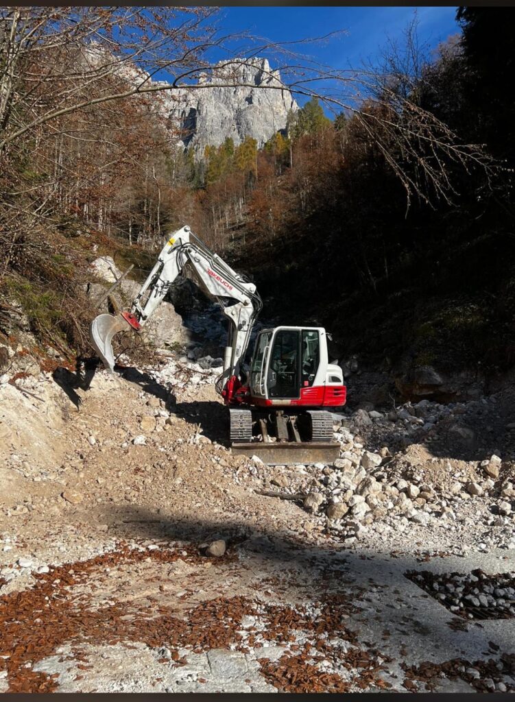 TAKEUCHI TB 290